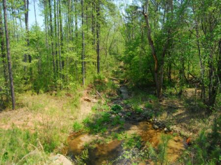93-acre Timber / Recreational Tract : Cross Anchor : Spartanburg County : South Carolina