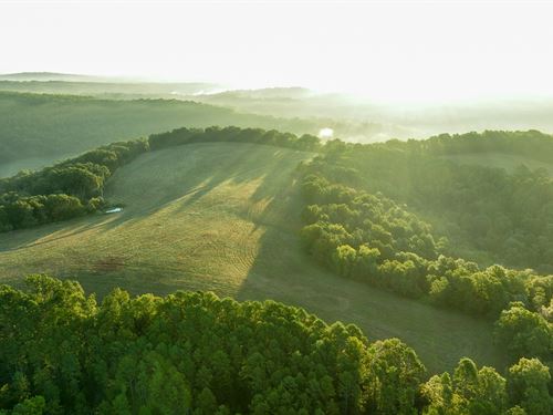Clifty Creek Ranch : Vanzant : Douglas County : Missouri