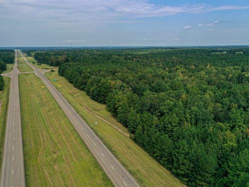 Oktibbeha 52 Acres on Hwy 82 West : Maben : Oktibbeha County : Mississippi