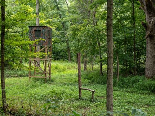 Lost Acres Farm : Shelburn : Sullivan County : Indiana