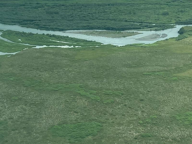160 Acres of Prime Hunting and Fish : Goodnews Bay : Bethel Borough : Alaska