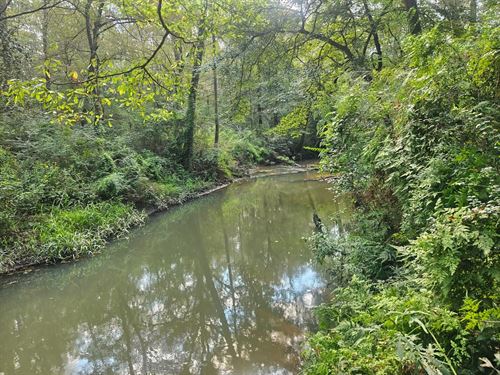 78 Acres Along Bouie River : Mount Olive : Covington County : Mississippi