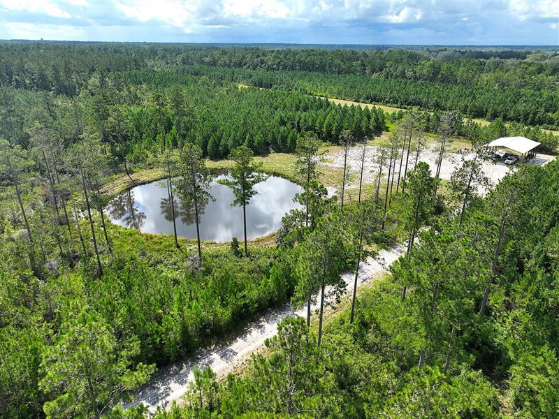 25 Acres Land for Sale with a Po : Kingsland : Camden County : Georgia