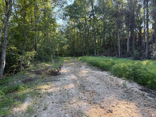 81 Acre Hissop Tract : Rockford : Coosa County : Alabama