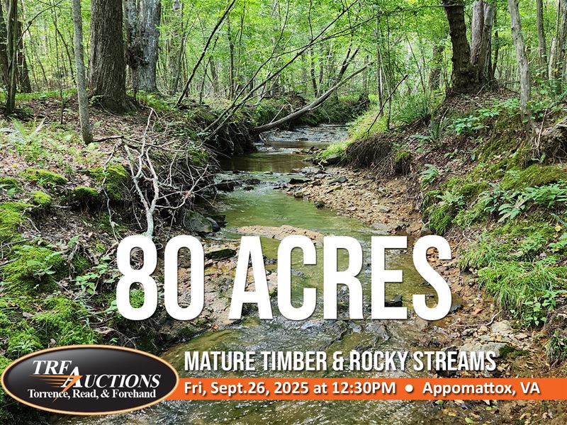 Beautiful 80 Acres in Appomattox VA : Appomattox : Appomattox County : Virginia