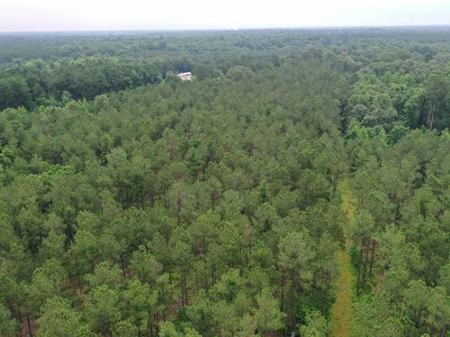 Strickland Acres 5 : Waskom : Harrison County : Texas