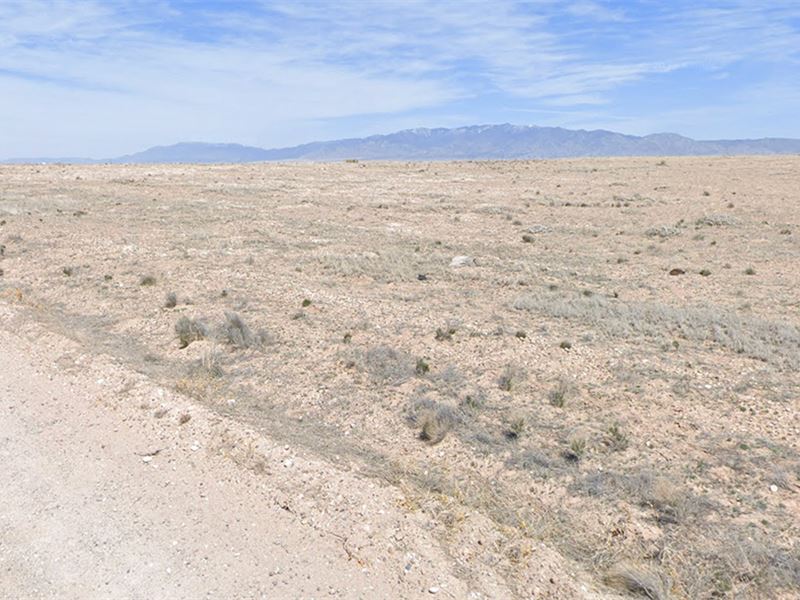 Corner Lot, Clean Spot : Bodega : Socorro County : New Mexico