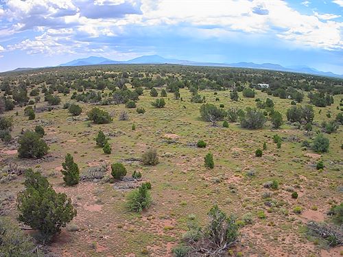 10 Acre Grand Canyon Escape : Williams : Coconino County : Arizona