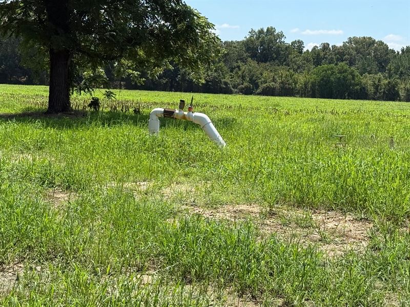 La, Franklin 80 Acres : Baskin : Franklin Parish : Louisiana