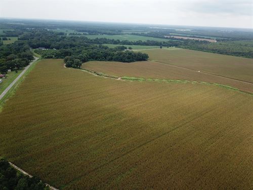 La, West Carroll 231 Acres : Oak Grove : West Carroll Parish : Louisiana