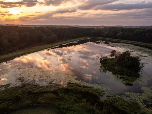 Cypress Pines Ranch : Gilmer : Upshur County : Texas