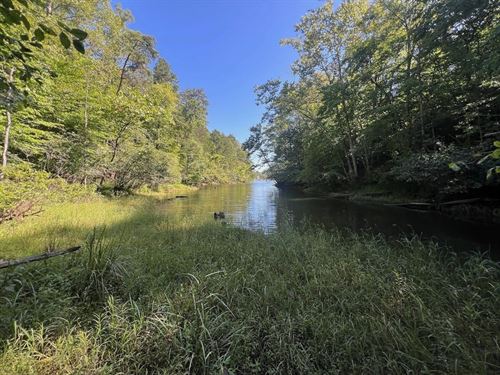 30.35 Acres of Waterfront Land : Pittsville : Pittsylvania County : Virginia