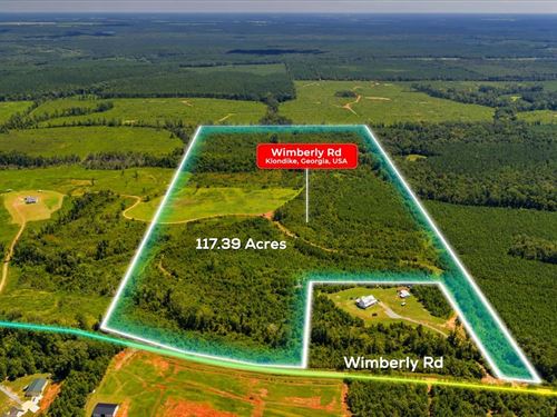 117 Acres, South Houston Co. GA : Hawkinsville : Houston County : Georgia