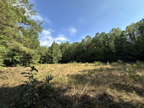 Palmyra Tract, Lowdnes County : Mitner : Lowndes County : Alabama