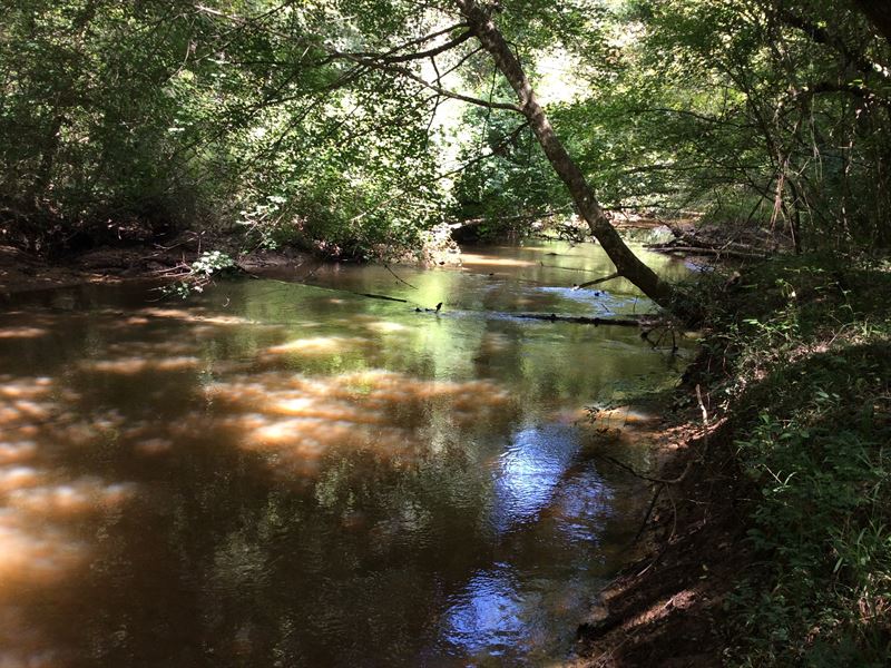 Uly Quail Tower Rd Tract-71 Acres : Luverne : Crenshaw County : Alabama
