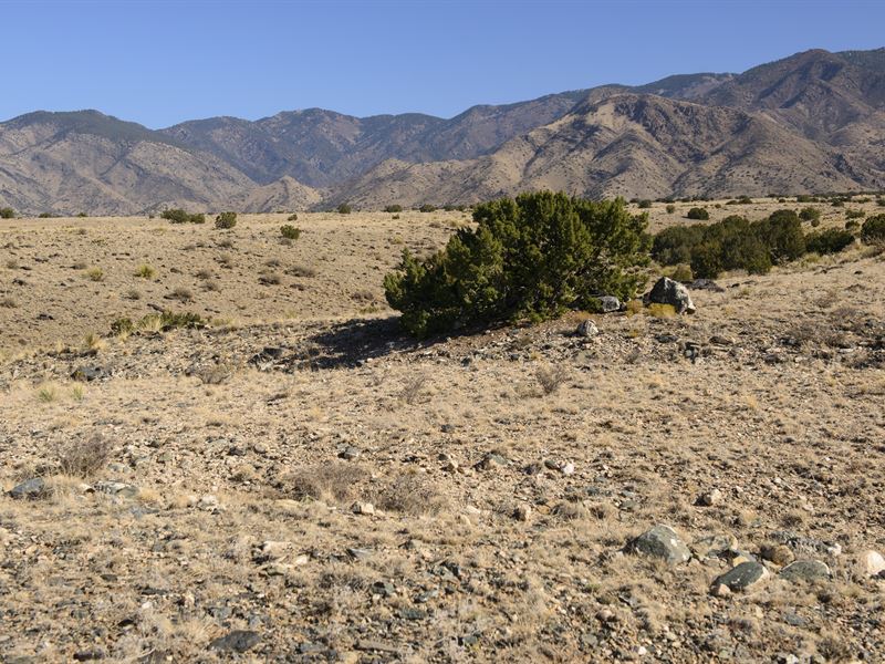 Spacious 5+ Acre Hideaway : Belen : Valencia County : New Mexico