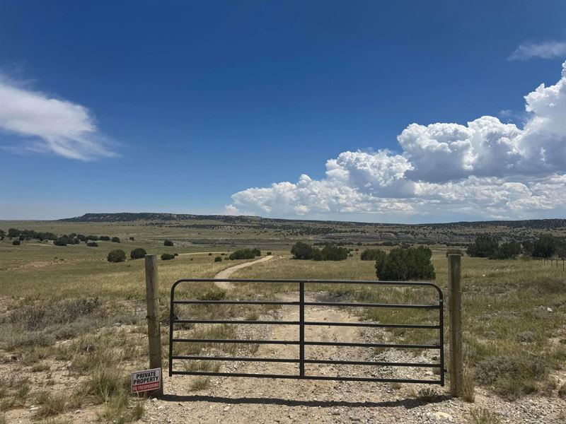 L40 Morning Star Rd, Rye, Co 81069 : Rye : Huerfano County : Colorado
