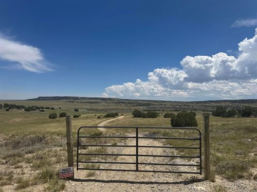 L40 Morning Star Rd, Rye, CO 81069 : Rye : Huerfano County : Colorado