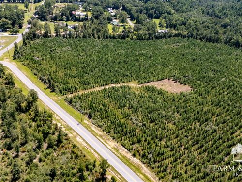 38.2 Ac, Decon Road South : Bonifay : Holmes County : Florida