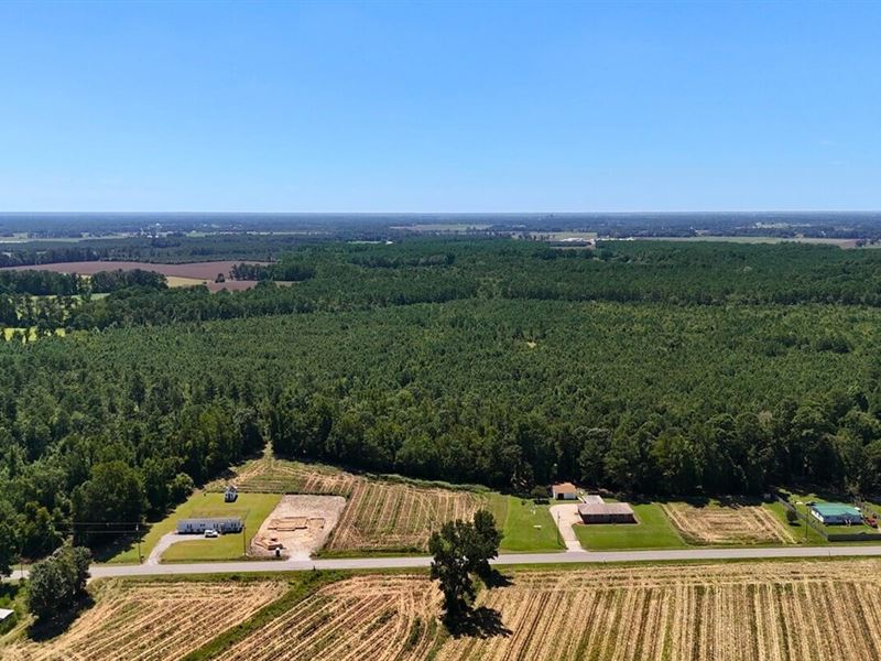 86.69 Acres of Timberland and Devel : La Grange : Lenoir County : North Carolina