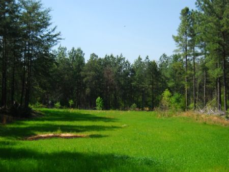 58-acre Timber / Recreational Tract : Cross Anchor : Spartanburg County : South Carolina