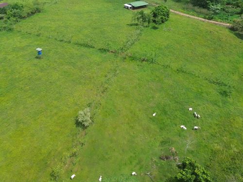 31 Acre Ranch Costa Rica : Guatuso : Costa Rica