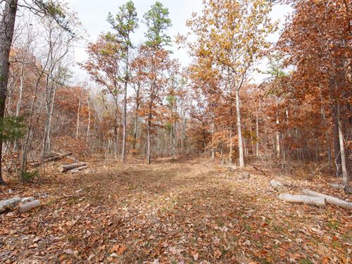 Beautiful Off Grid Property : Ellington : Reynolds County : Missouri