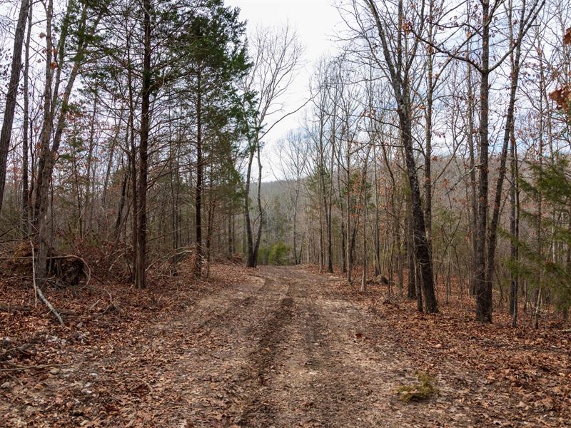 Own Land in Douglas County : Bradleyville : Douglas County : Missouri