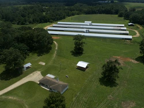 Beelieve Farms 4 House Broiler : Foxworth : Marion County : Mississippi