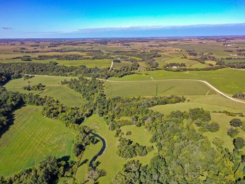 68 Acres Winona County, MN : Peterson : Winona County : Minnesota