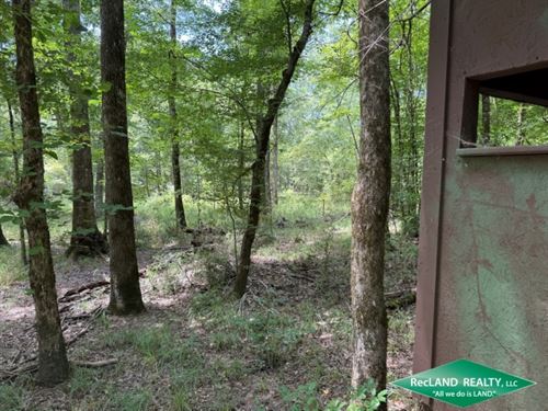 141.2 Ac, Hunting Land for Sale : Chatham : Jackson Parish : Louisiana