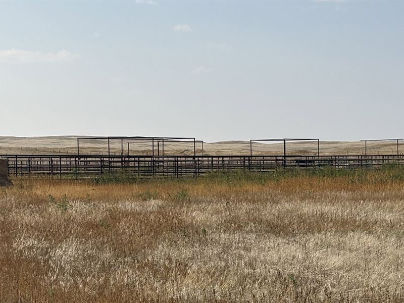Big Valley Ranch : Torrington : Goshen County : Wyoming