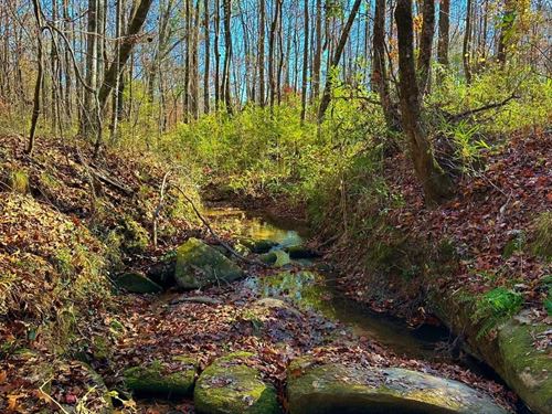 Little Mack's Creek Tract : Carlton : Oglethorpe County : Georgia