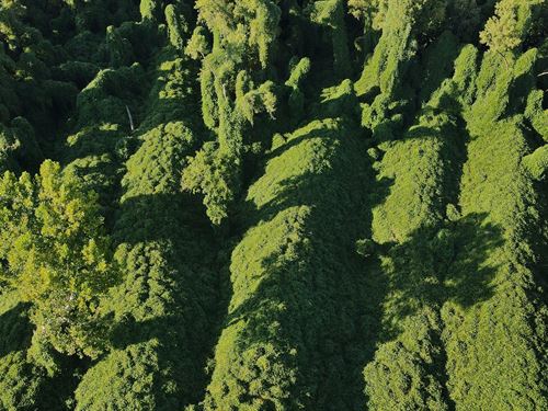 70 Acres In Ohio County, KY : Centertown : Ohio County : Kentucky