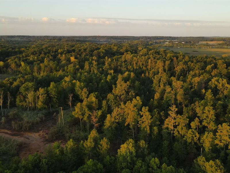 63 Acres in Ohio County, KY : Centertown : Ohio County : Kentucky