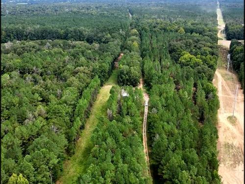 348 Acres in Madison County in Cant : Canton : Madison County : Mississippi