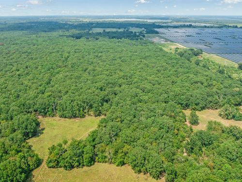 27+ Acre Hunting & Homestead Tract : Bogata : Red River County : Texas