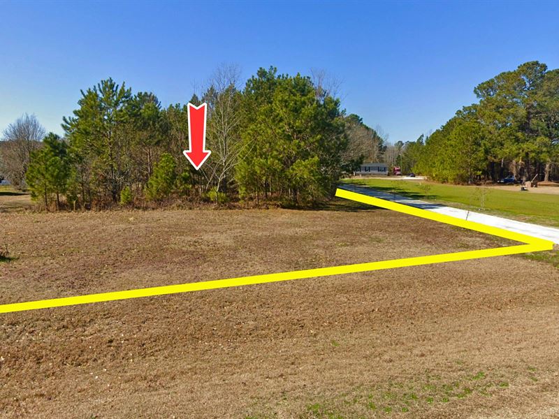 5.46 Acres, South Carolina Land : Cross : Berkeley County : South Carolina