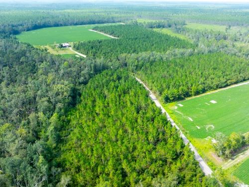 Bennett Family Farm : Millwood : Atkinson County : Georgia