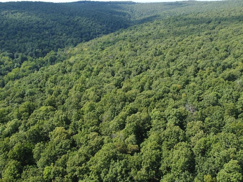 Secluded in The Ozark Mountains : Leslie : Searcy County : Arkansas