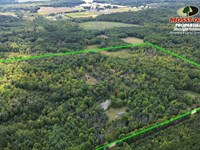 59 Acres & Cabin / Lake County : Reed City : Lake County : Michigan