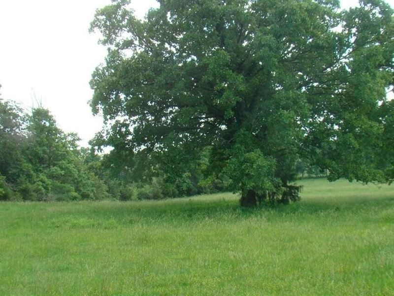10 Acres, Highway Frontage, Electri : Mountain View : Howell County : Missouri