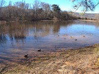 18.5 Acre Duck Hunting Property : Scottsboro : Jackson County : Alabama