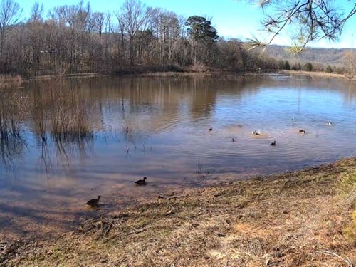 18.5 Acre Duck Hunting Property : Scottsboro : Jackson County : Alabama