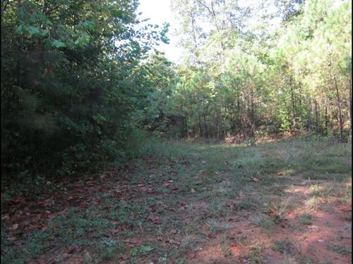30.84 Acres in Tippah County in Tip : Tiplersville : Tippah County : Mississippi