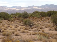 5 Acres Bordering Public Land : Kingman : Mohave County : Arizona