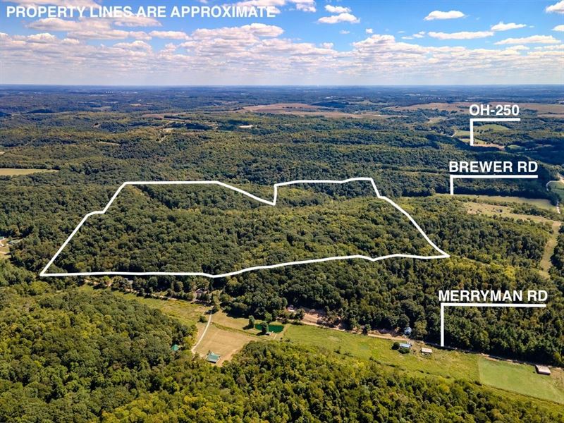 Brewer Rd, 120 Acres : Cadiz : Harrison County : Ohio