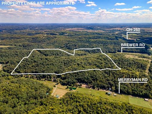 Brewer Rd, 120 Acres : Cadiz : Harrison County : Ohio