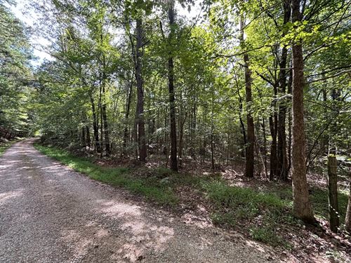 28.9 Acres Tract R Lafayette Coun : Oxford : Lafayette County : Mississippi