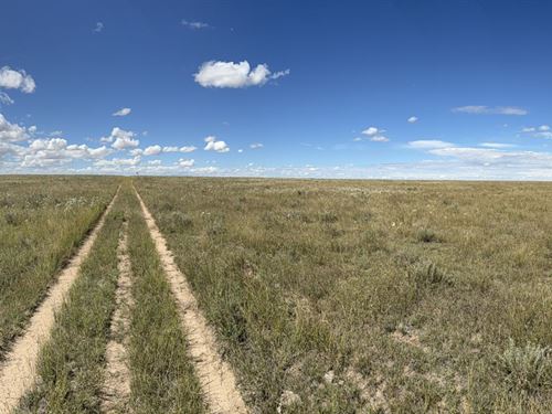 Jr & Laverle Kelley Land Auction : Eads : Kiowa County : Colorado